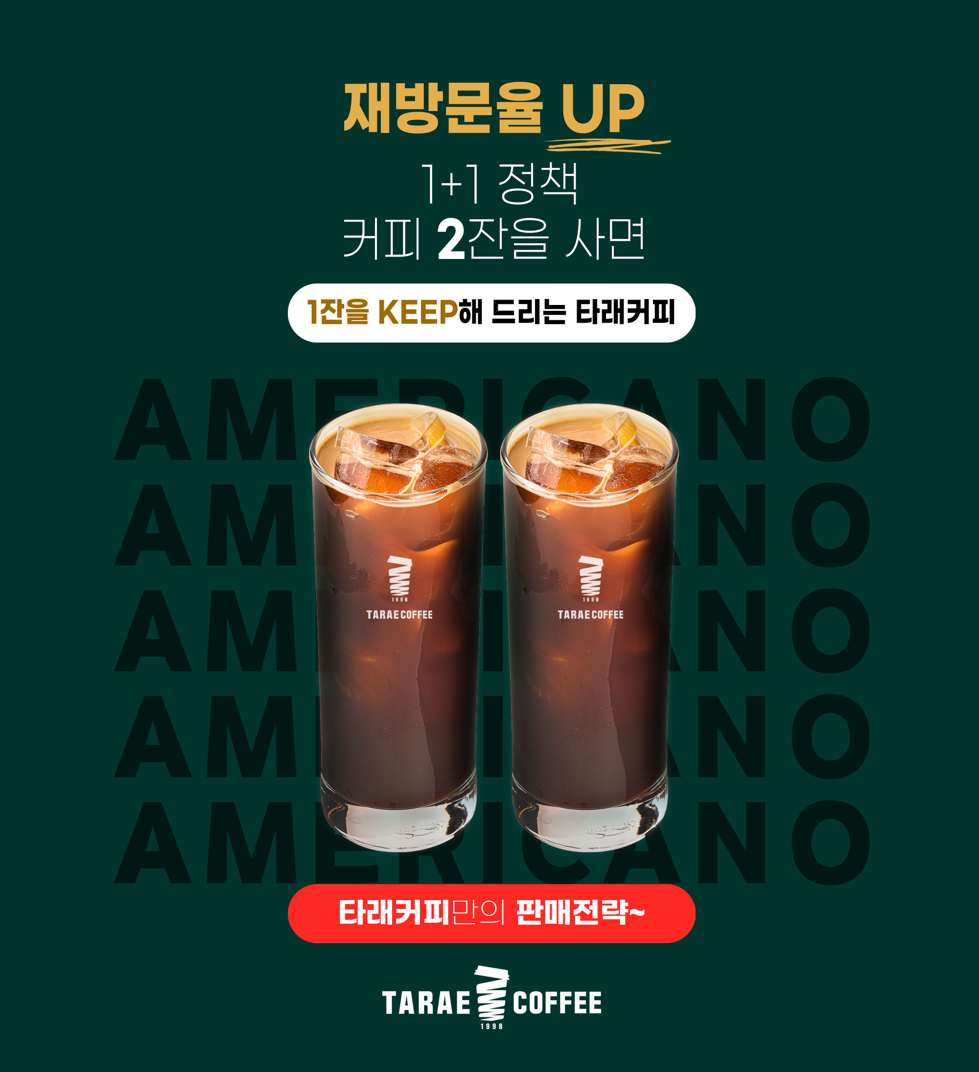 섹션이미지